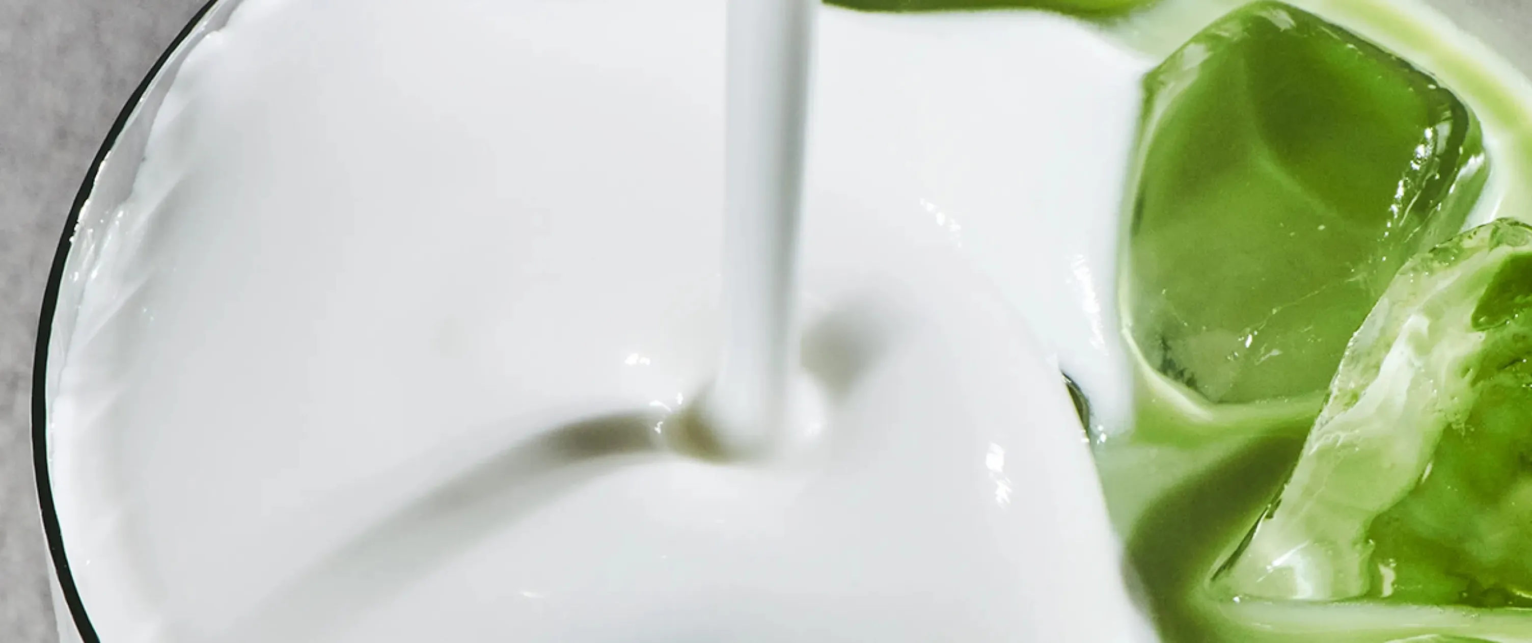 Protein never tasted so good